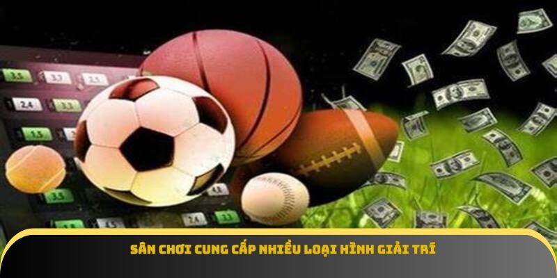 Sân chơi cung cấp nhiều loại hình giải trí
